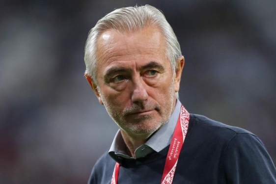 Bert van Marwijk