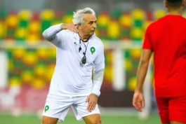 Vahid Halihodžić