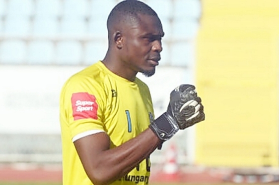 David Nwolokor